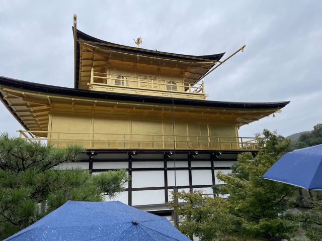 ../photos/japan/Graham/IMG_8016.jpg?t=1740328819