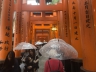 ../photos/japan/Graham/IMG_8028_1.jpg?t=1740328819