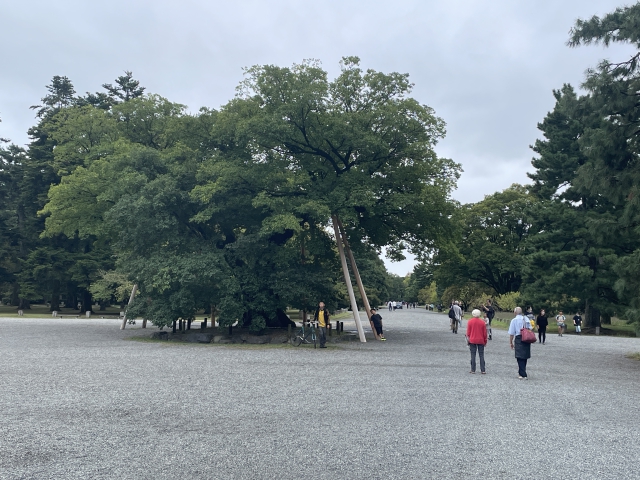 ../photos/japan/Graham/IMG_8061.jpg?t=1740331477