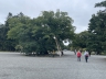 ../photos/japan/Graham/IMG_8061_1.jpg?t=1740331477