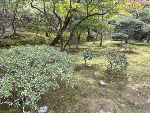 ../photos/japan/Graham/IMG_8087.jpg?t=1740328686