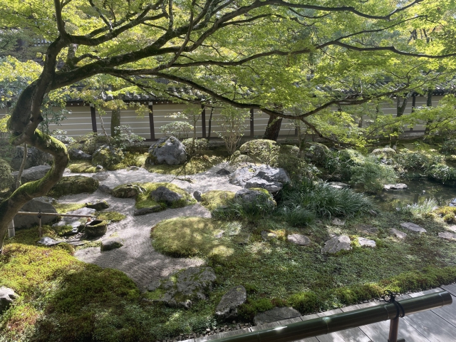 ../photos/japan/Graham/IMG_8103.jpg?t=1740328686