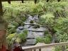 ../photos/japan/Graham/IMG_8131_1.jpg?t=1740332200