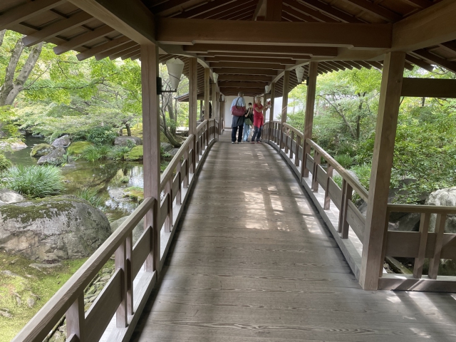 ../photos/japan/Graham/IMG_8132.jpg?t=1740332200