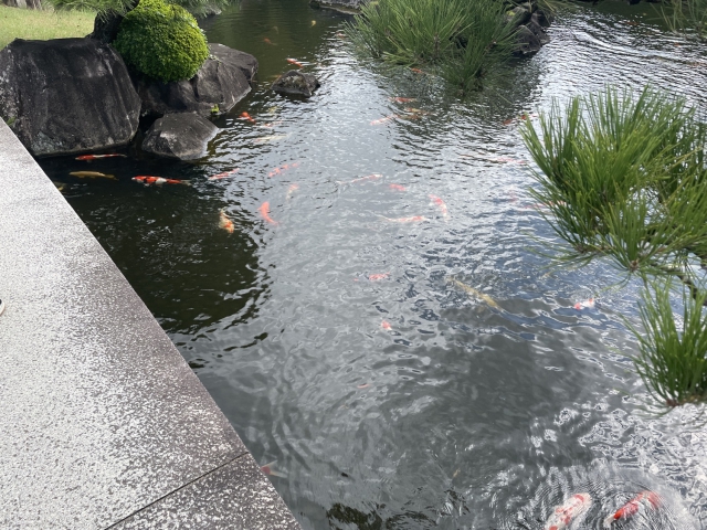 ../photos/japan/Graham/IMG_8133.jpg?t=1740332200