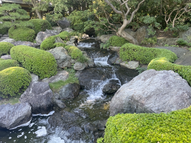 ../photos/japan/Graham/IMG_8216.jpg?t=1740327701