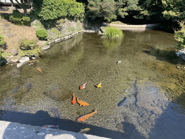 ../photos/japan/Graham/IMG_8358.jpg?t=1740325771