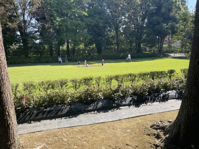 ../photos/japan/Graham/IMG_8363.jpg?t=1740325771
