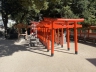 ../photos/japan/Graham/IMG_8464_1.jpg?t=1740329216