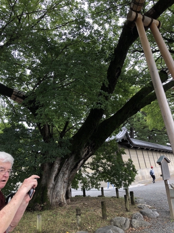 ../photos/japan/Mary/IMG_2634.jpg?t=1740331477