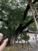 ../photos/japan/Mary/IMG_2634_1.jpg?t=1740331477