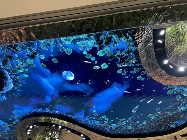 ../photos/korea/Graham/IMG_8855.jpg?t=1775438732