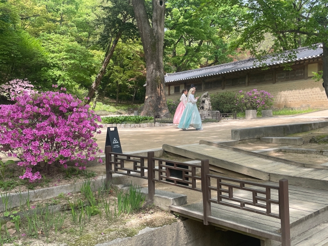 ../photos/korea/Graham/IMG_8920.jpg?t=1740327817