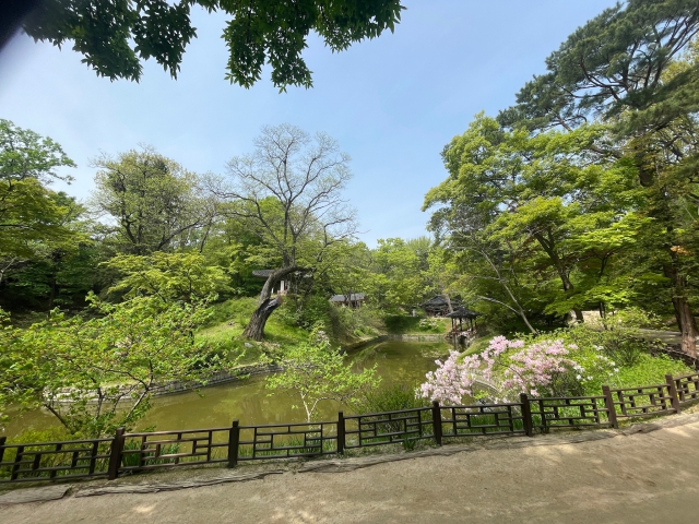 ../photos/korea/Graham/IMG_8923.jpg?t=1740327817