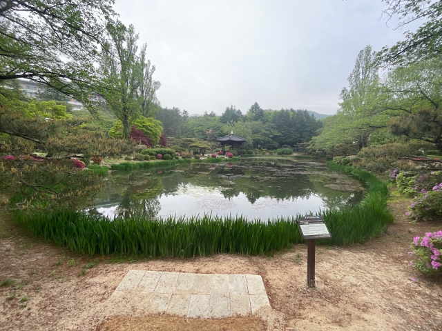 korea/Graham/IMG_8999.jpg