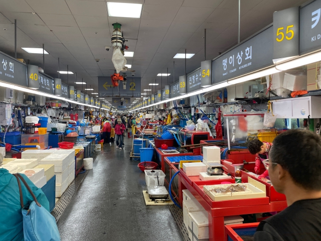 korea/Graham/IMG_9025.jpg