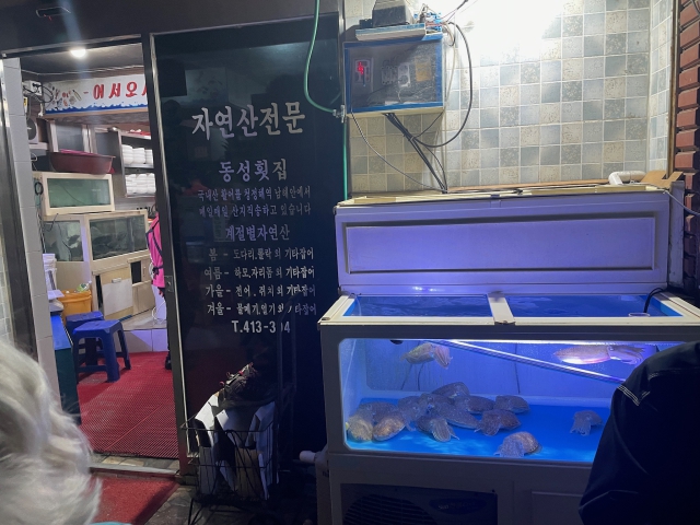 ../photos/korea/Graham/IMG_9073.jpg?t=1740327283