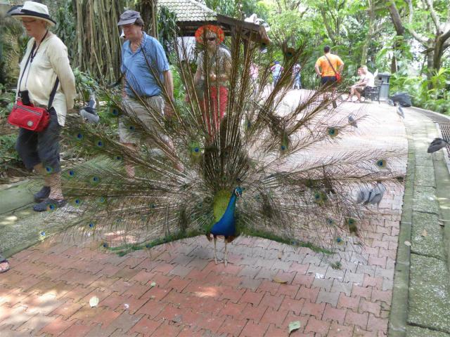 ../photos/malaysia/Bill/P1050757_Large_.jpg?t=1740330986
