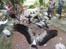../photos/malaysia/Bill/P1050770_Large__1.jpg?t=1740330986