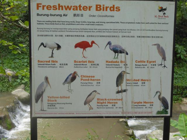 ../photos/malaysia/Bill/P1050795_Large_.jpg?t=1740330986