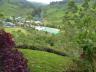 ../photos/malaysia/Bill/P1060147_Large__1.jpg?t=1740322249