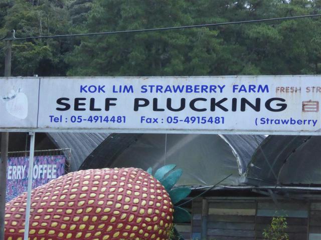 ../photos/malaysia/Bill/P1060158_Large_.jpg?t=1740329971