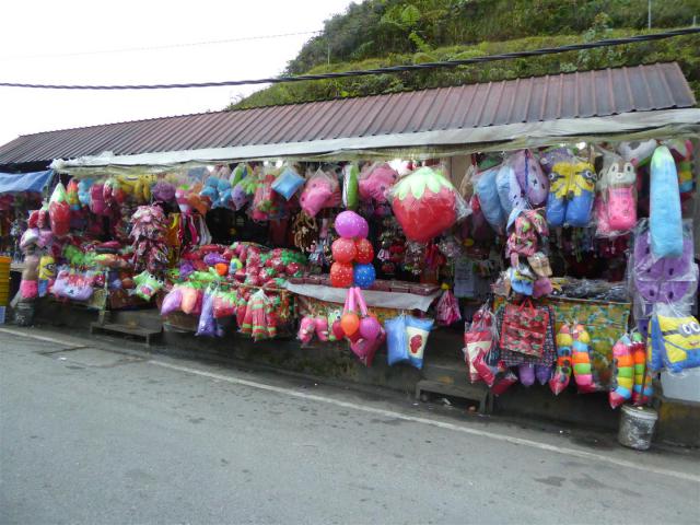 ../photos/malaysia/Bill/P1060159_Large_.jpg?t=1740329971