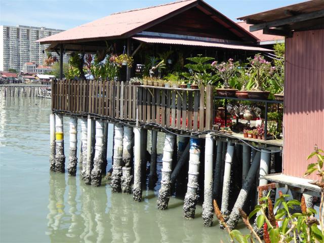 ../photos/malaysia/Bill/P1060364_Large_.jpg?t=1740330907