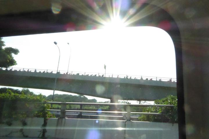 ../photos/malaysia/Bill/P1060521_Large_.jpg?t=1740329815