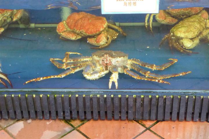 ../photos/malaysia/Bill/P1060533_Large_.jpg?t=1740328867