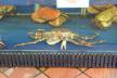 ../photos/malaysia/Bill/P1060533_Large__1.jpg?t=1740328867