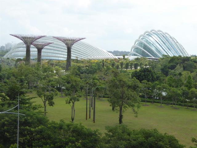 ../photos/malaysia/Bill/P1060551_Large_.jpg?t=1740328867