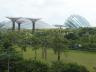 ../photos/malaysia/Bill/P1060551_Large__1.jpg?t=1740328867