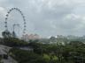../photos/malaysia/Bill/P1060552_Large__1.jpg?t=1740328867