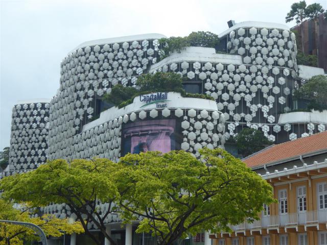 ../photos/malaysia/Bill/P1060611_Large_.jpg?t=1740328739