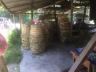 ../photos/malaysia/Graham/IMG_1927_1.jpg?t=1740331705