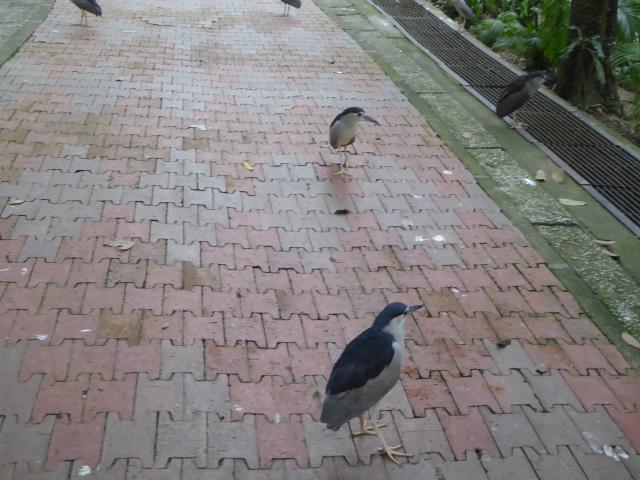 ../photos/malaysia/Jane/P1010821.jpg?t=1740330986
