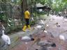 ../photos/malaysia/Jane/P1010823_1.jpg?t=1740330986