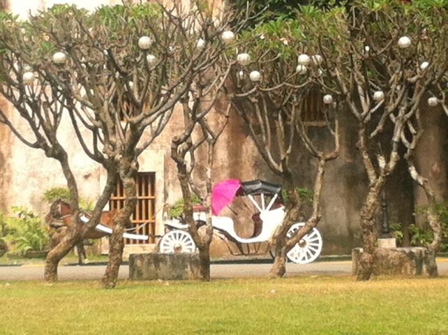 ../photos/manila/Claire/IMG_2535.jpg?t=1740329937