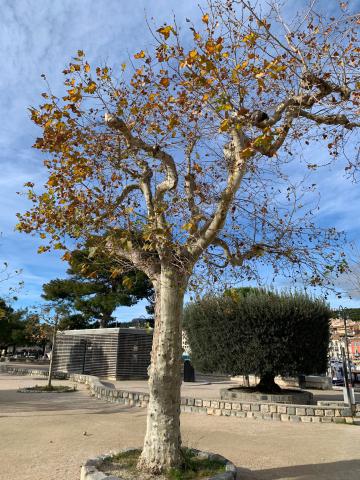 ../photos/marseille/Sarah/WhatsApp_Image_2024-12-08_at_21.50.58.jpg?t=1746290061