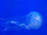 ../photos/usa18/Eva/20180910_154058_1.jpg?t=1740331550