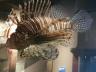../photos/usa18/Eva/20180910_154317_1.jpg?t=1740331550